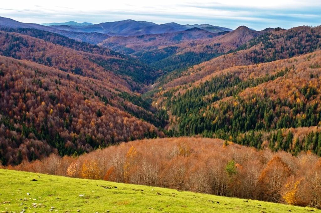 Casa Rural Casa Julito Barásoain Zewnętrze zdjęcie